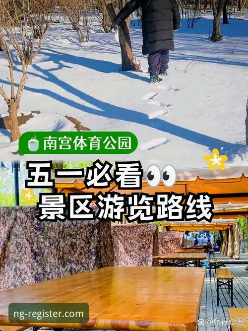 南宫ng体育平台使用指南：从下载到体验的完整攻略